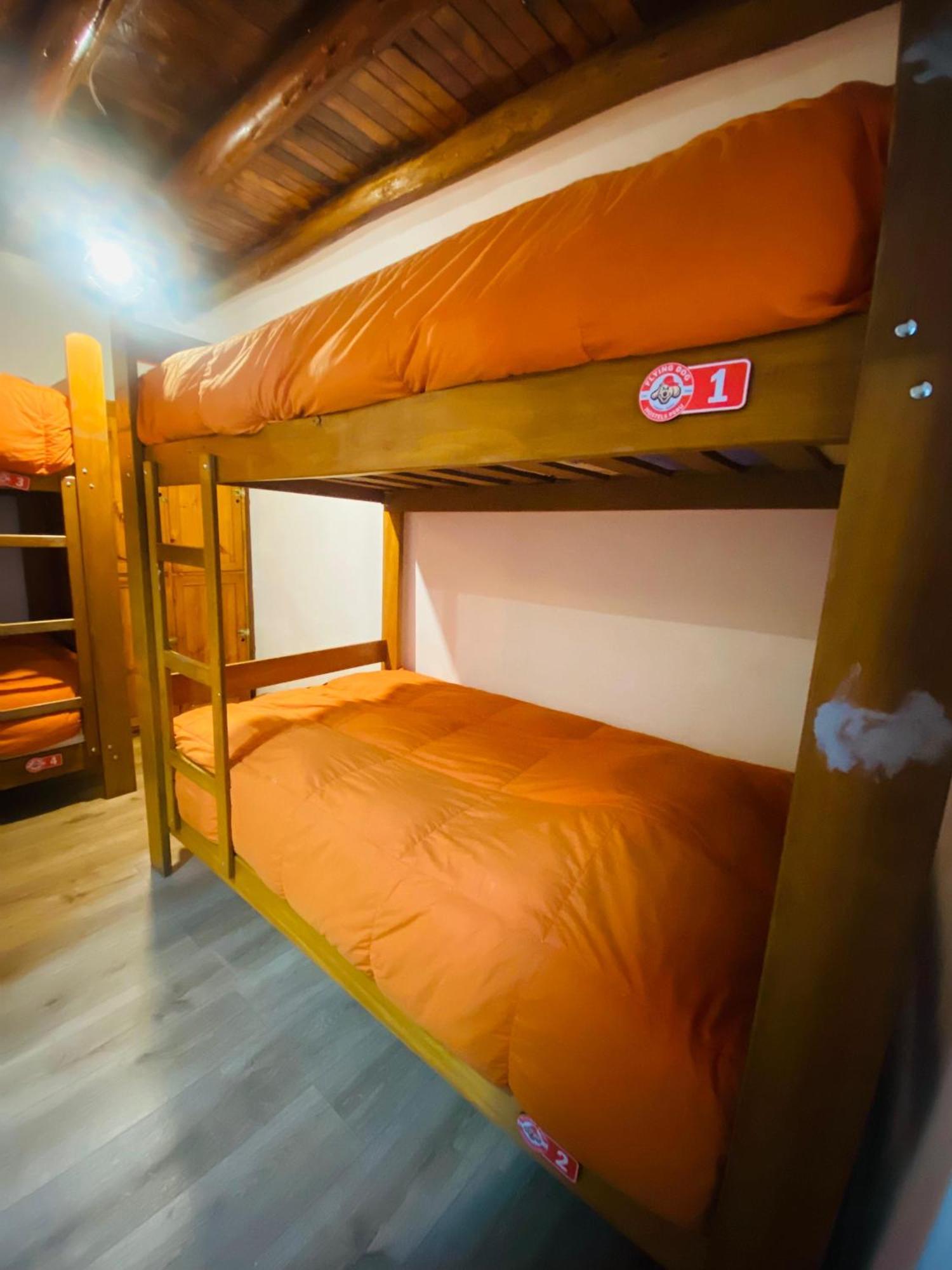 Flying Dog Hostel Cusco Extérieur photo